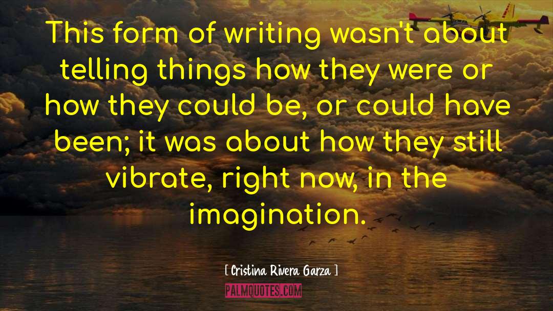 Cristina Rivera Garza Quotes: This form of writing wasn't
