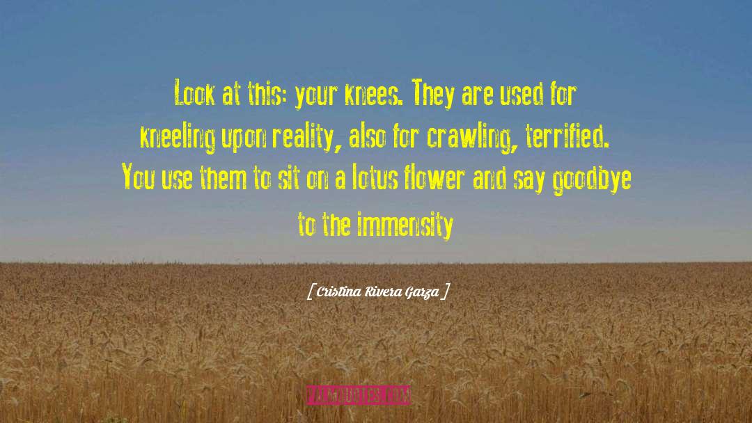 Cristina Rivera Garza Quotes: Look at this: your knees.