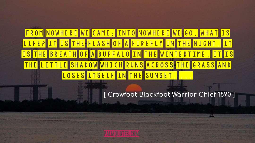 Crowfoot Blackfoot Warrior Chief 1890 Quotes: From nowhere we came; into