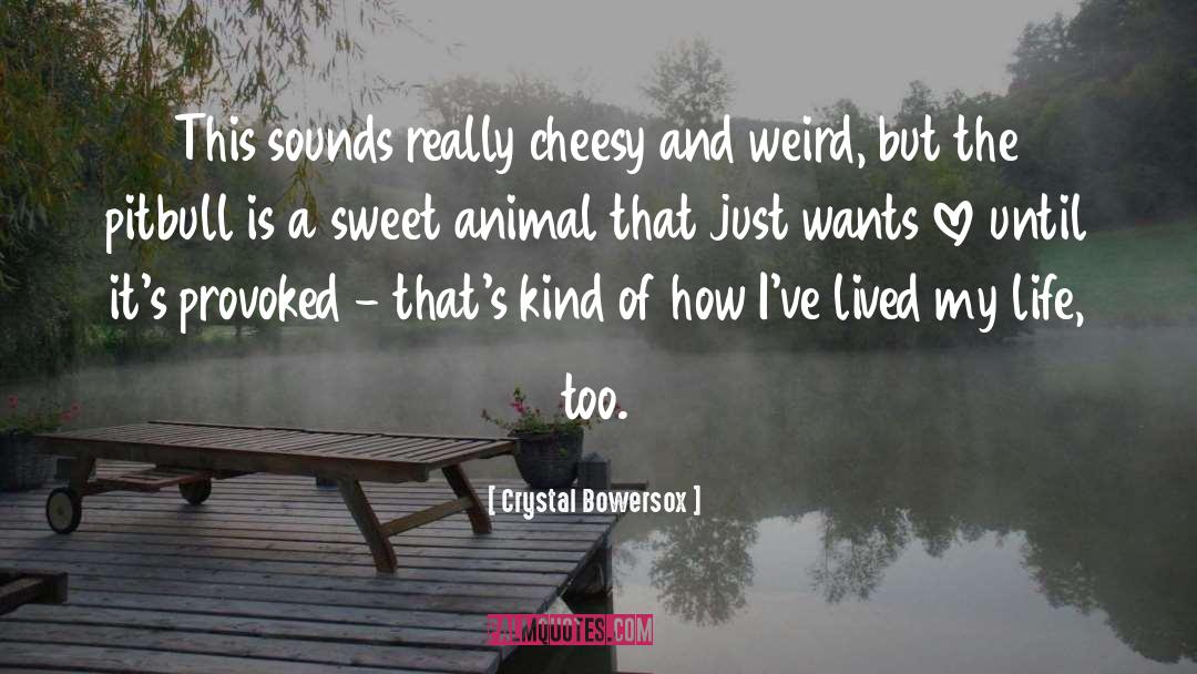 Crystal Bowersox Quotes: This sounds really cheesy and