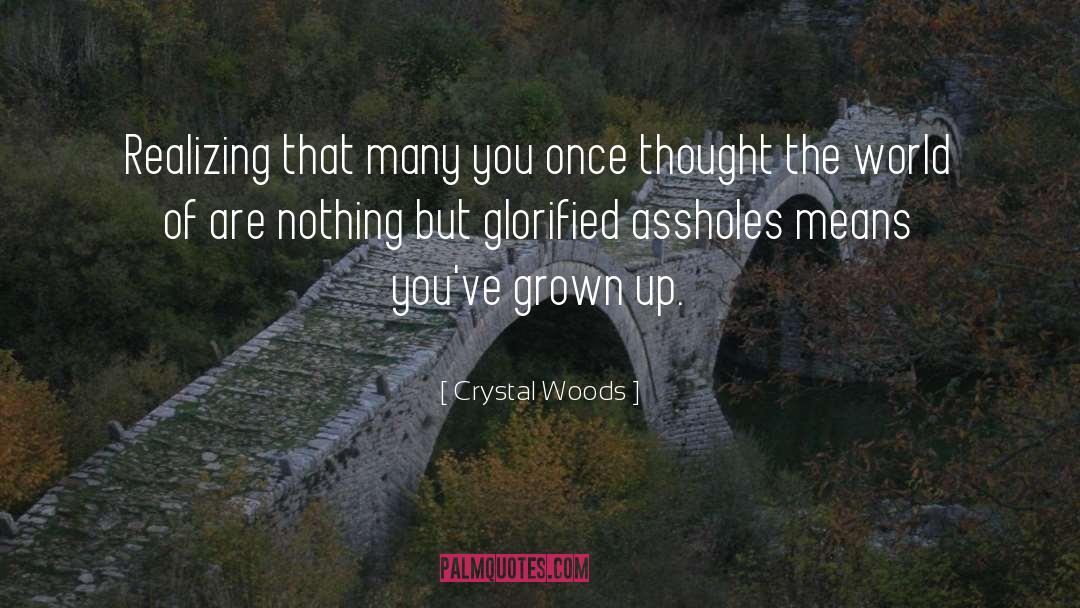 Crystal Woods Quotes: Realizing that many you once