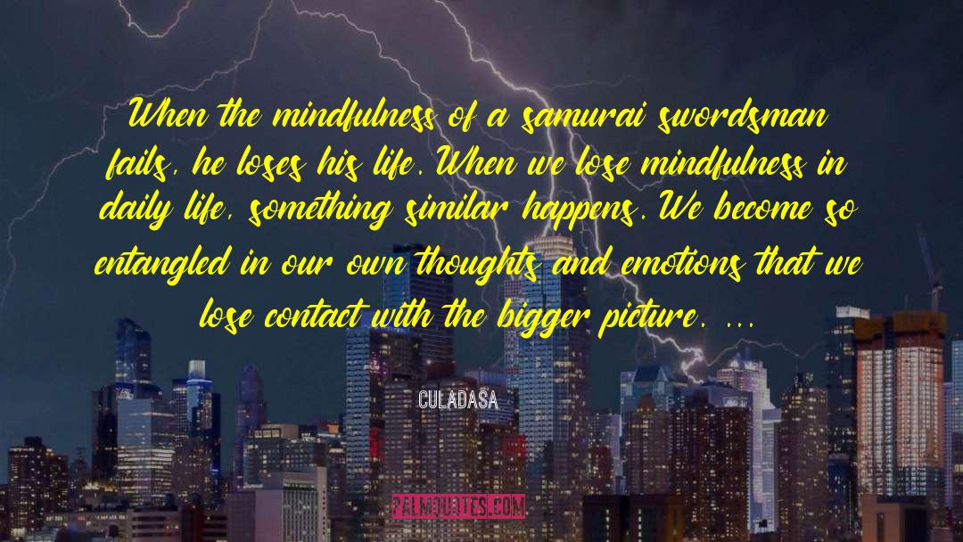 Culadasa Quotes: When the mindfulness of a