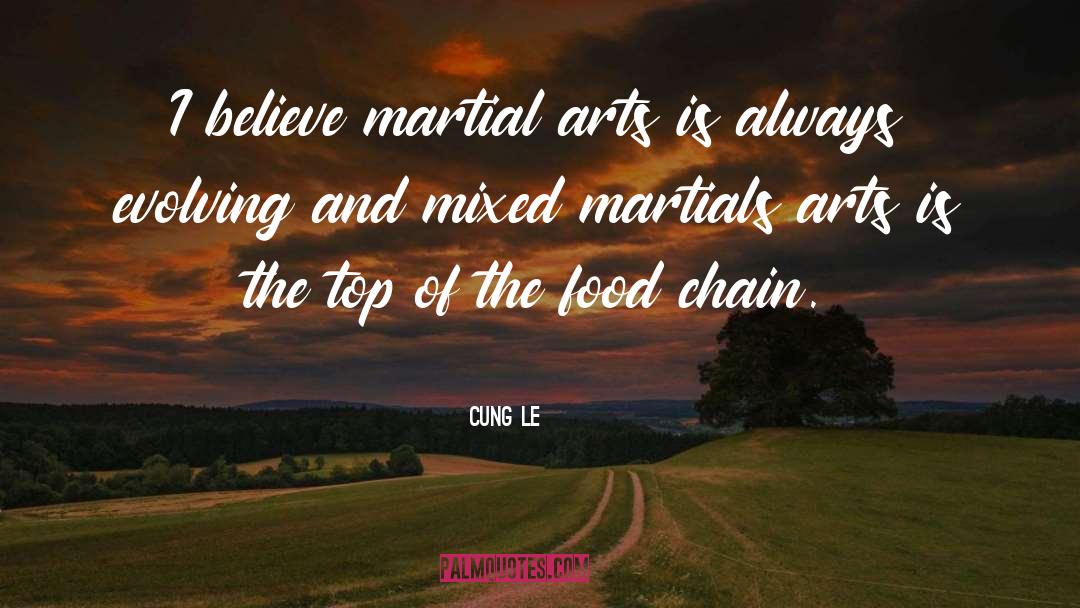 Cung Le Quotes: I believe martial arts is