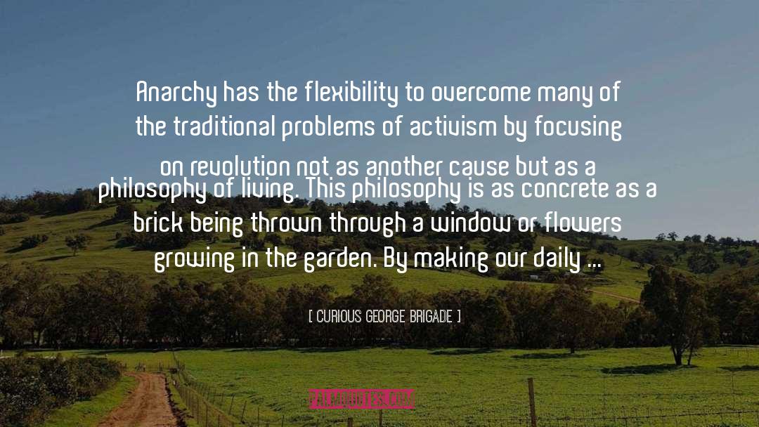 Curious George Brigade Quotes: Anarchy has the flexibility to