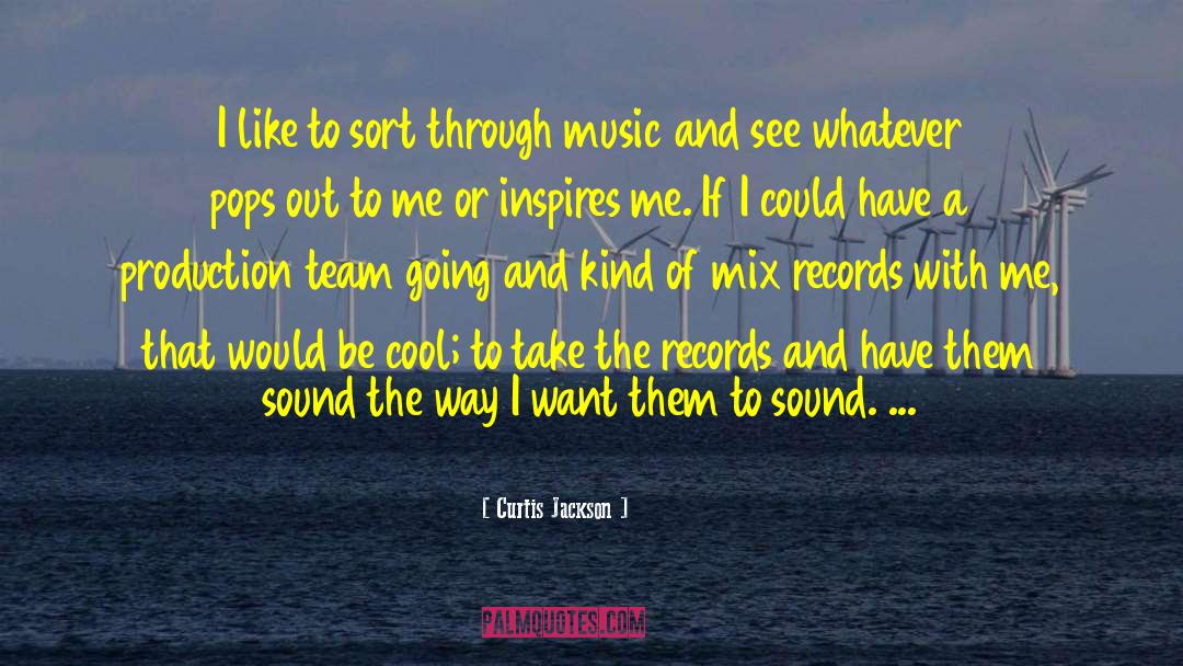 Curtis Jackson Quotes: I like to sort through