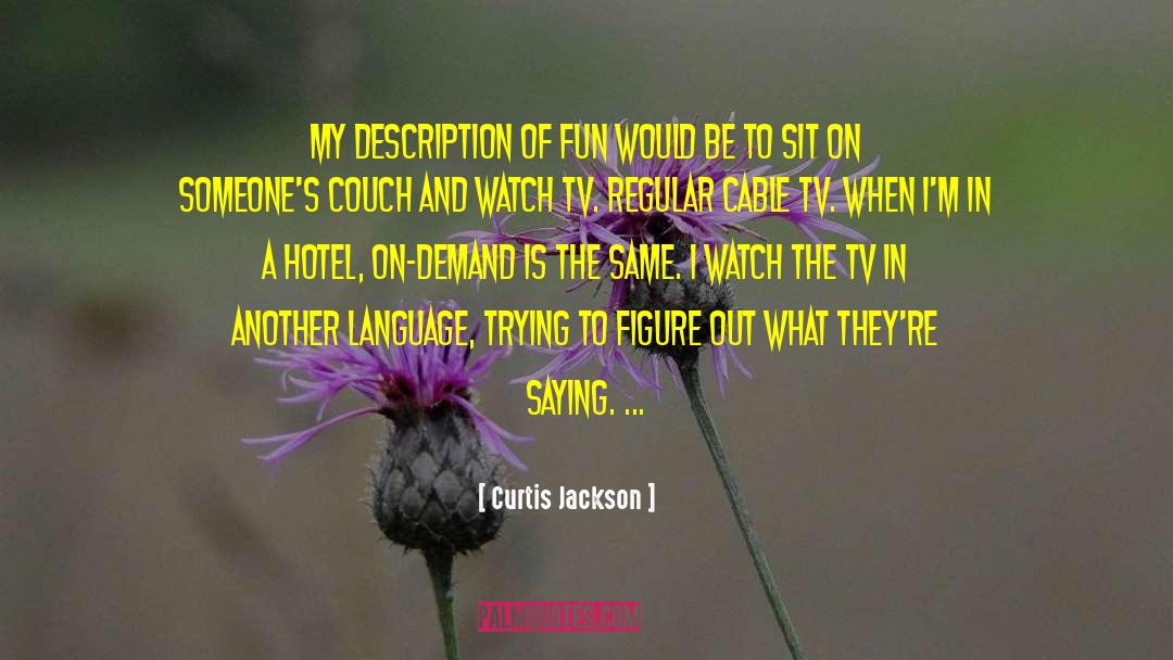 Curtis Jackson Quotes: My description of fun would