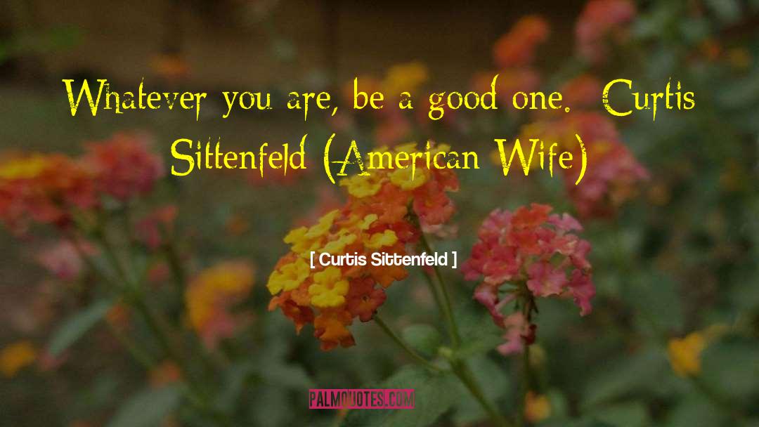 Curtis Sittenfeld Quotes: Whatever you are, be a