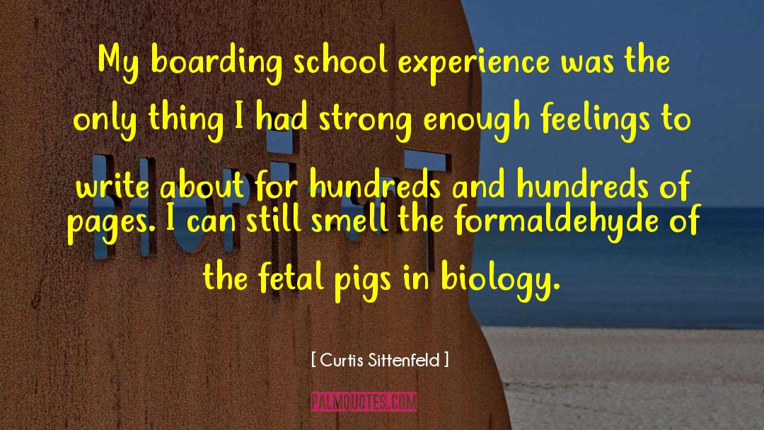 Curtis Sittenfeld Quotes: My boarding school experience was