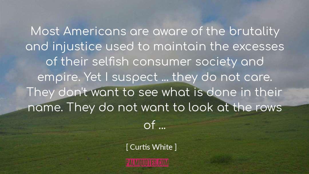 Curtis White Quotes: Most Americans are aware of