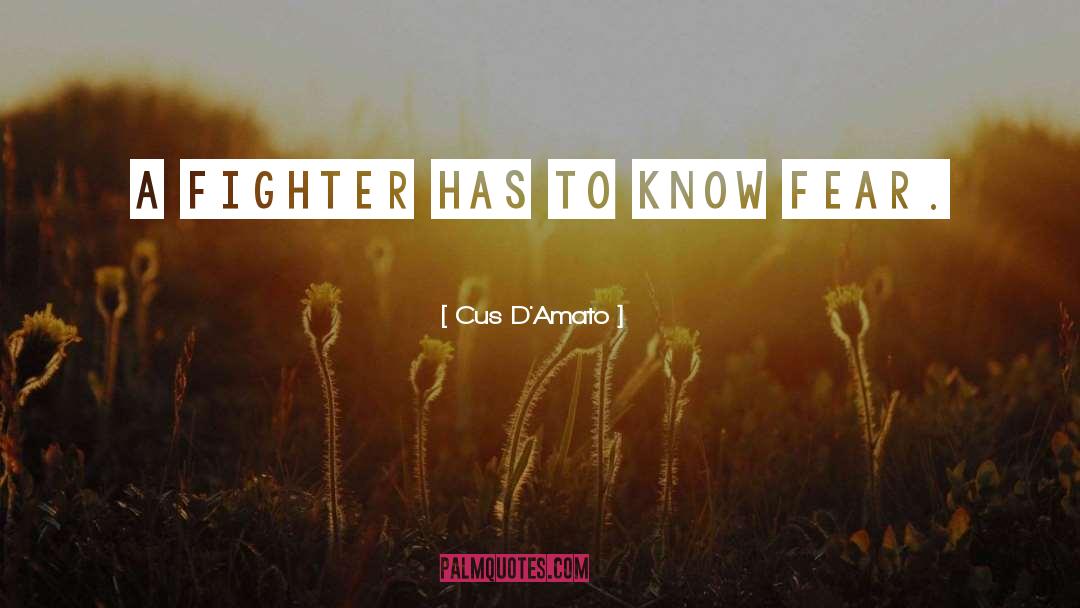 Cus D'Amato Quotes: A fighter has to know