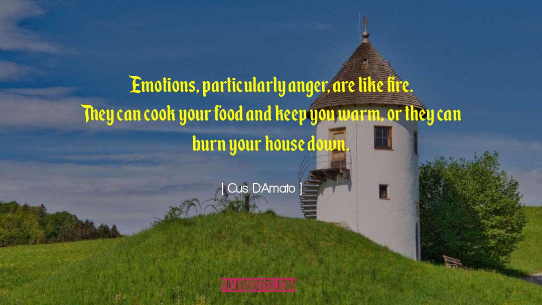 Cus D'Amato Quotes: Emotions, particularly anger, are like