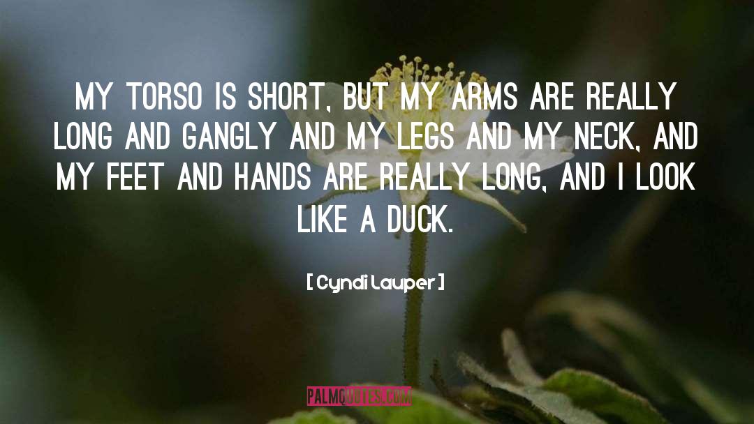 Cyndi Lauper Quotes: My torso is short, but