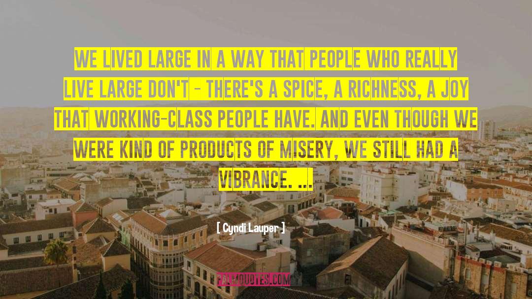 Cyndi Lauper Quotes: We lived large in a