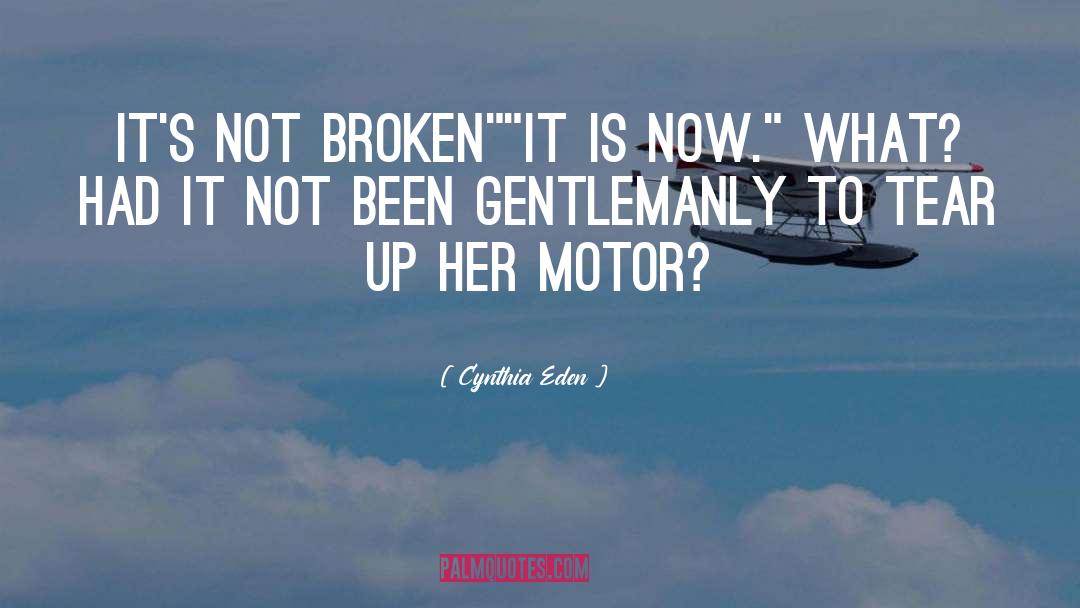 Cynthia Eden Quotes: It's not broken<br>