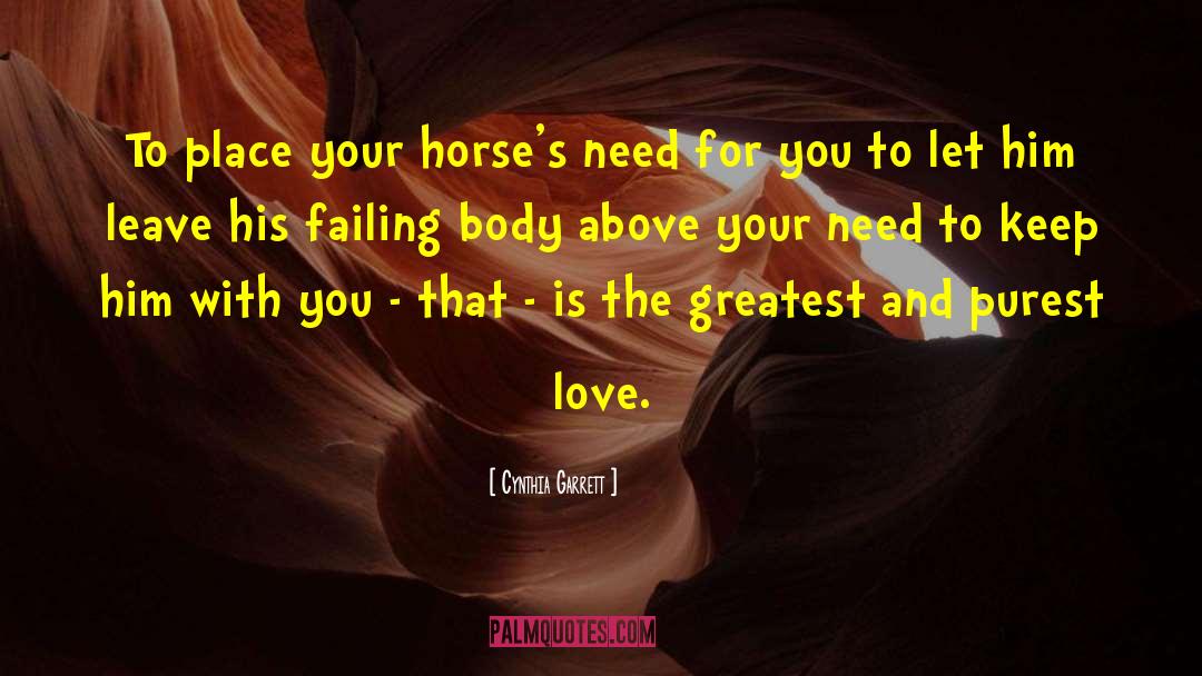 Cynthia Garrett Quotes: To place your horse's need