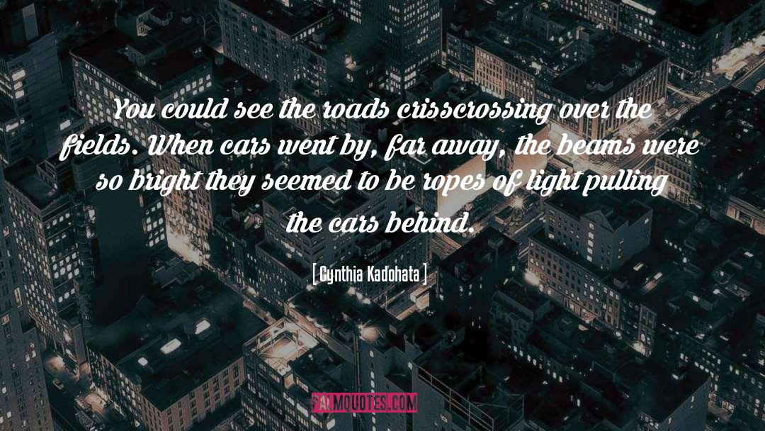 Cynthia Kadohata Quotes: You could see the roads