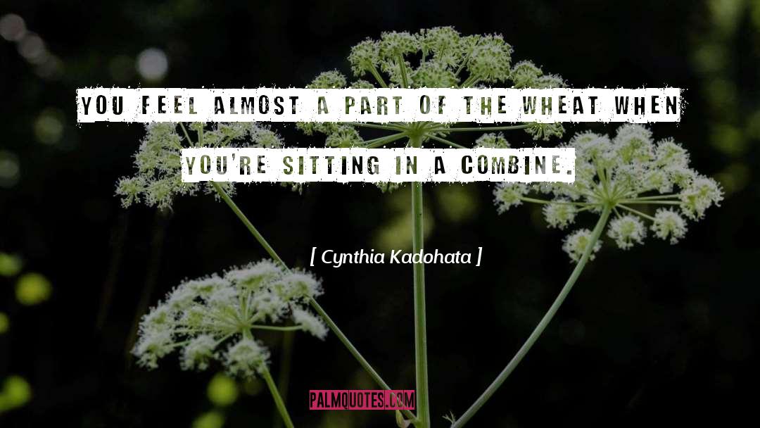 Cynthia Kadohata Quotes: You feel almost a part