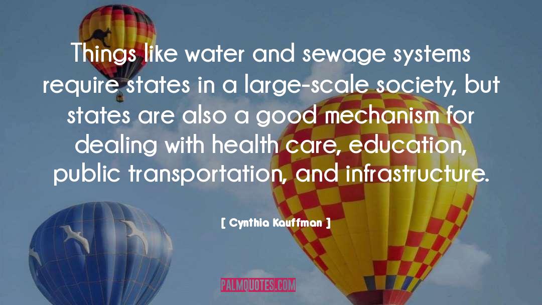 Cynthia Kauffman Quotes: Things like water and sewage