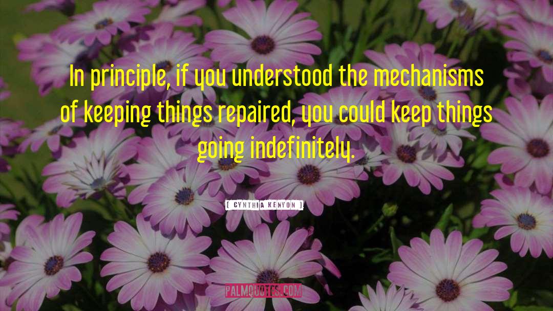 Cynthia Kenyon Quotes: In principle, if you understood