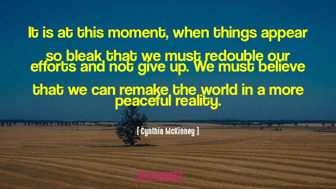 Cynthia McKinney Quotes: It is at this moment,