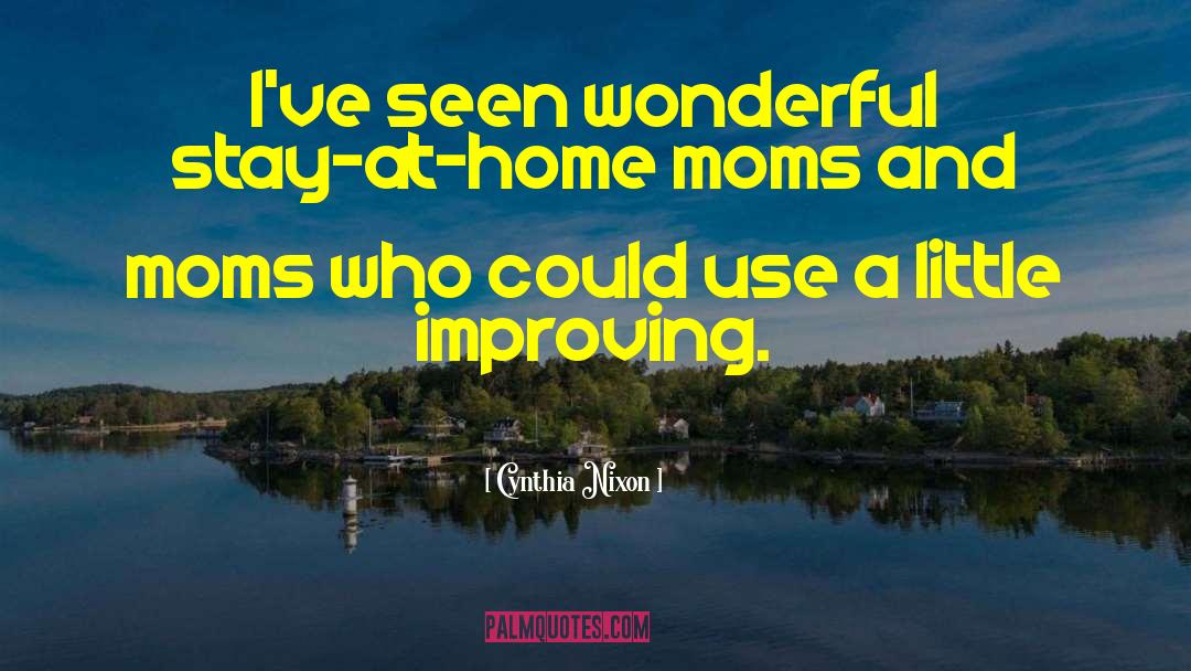 Cynthia Nixon Quotes: I've seen wonderful stay-at-home moms