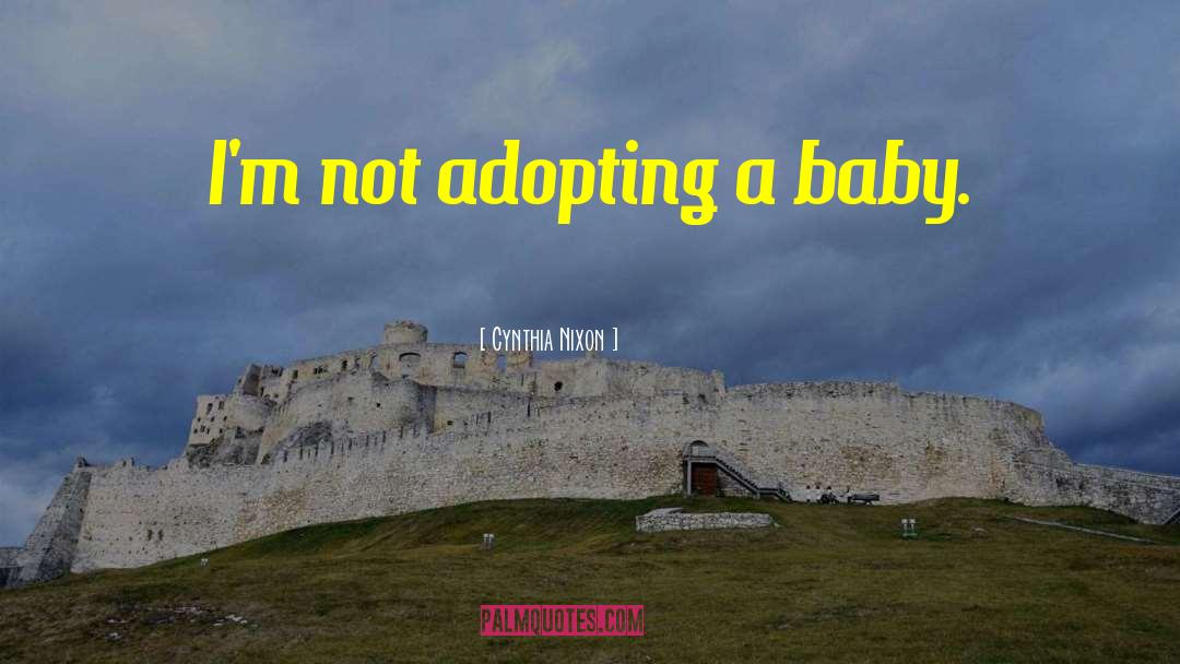 Cynthia Nixon Quotes: I'm not adopting a baby.