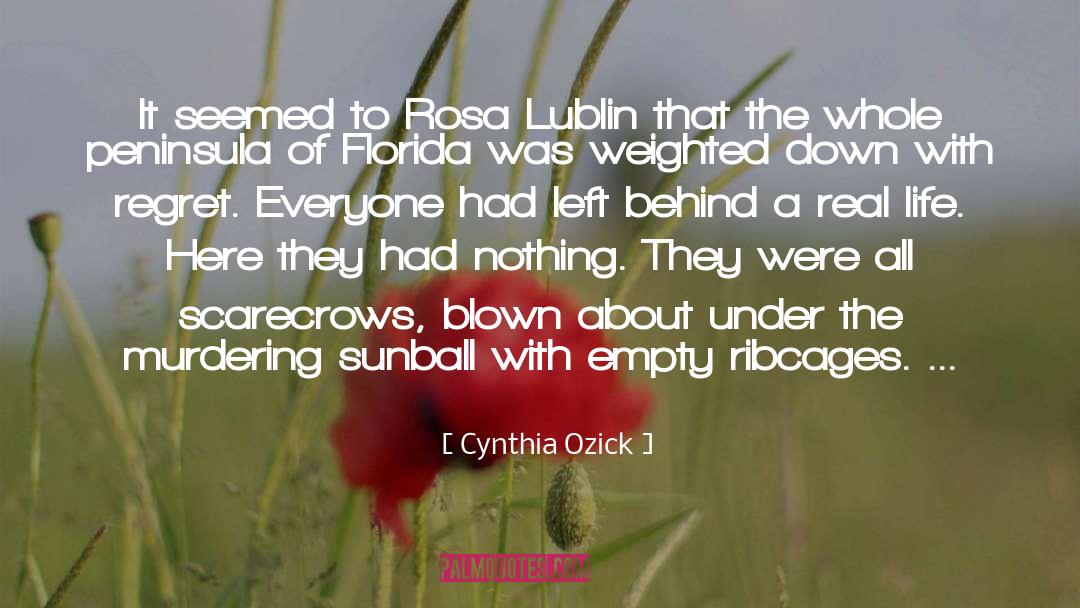 Cynthia Ozick Quotes: It seemed to Rosa Lublin