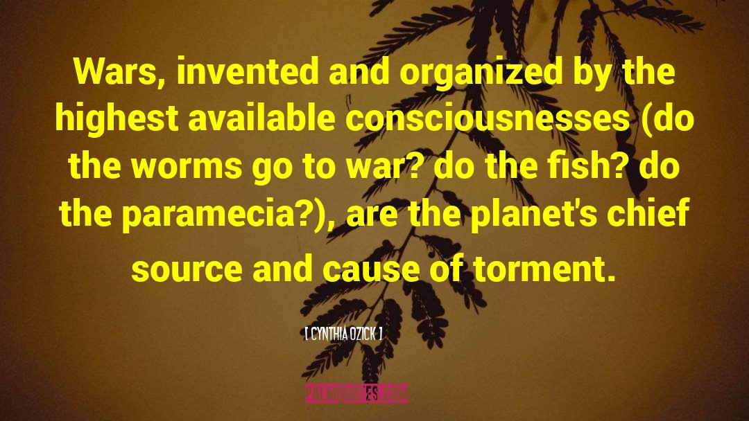 Cynthia Ozick Quotes: Wars, invented and organized by