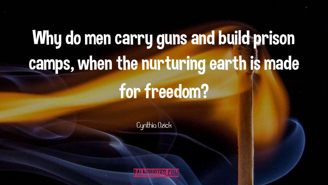 Cynthia Ozick Quotes: Why do men carry guns