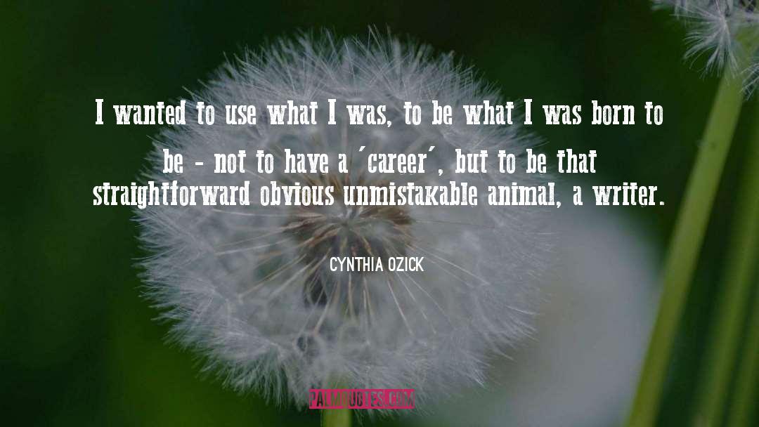 Cynthia Ozick Quotes: I wanted to use what