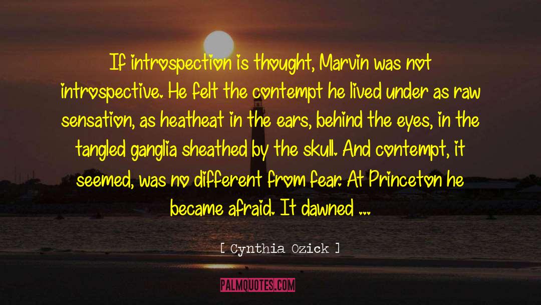 Cynthia Ozick Quotes: If introspection is thought, Marvin