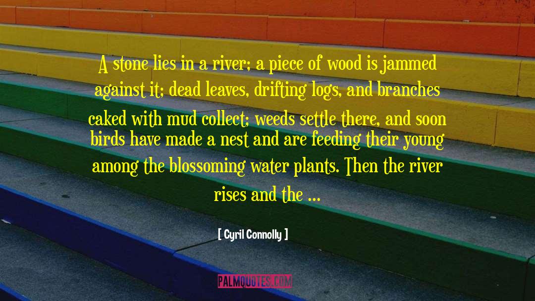 Cyril Connolly Quotes: A stone lies in a