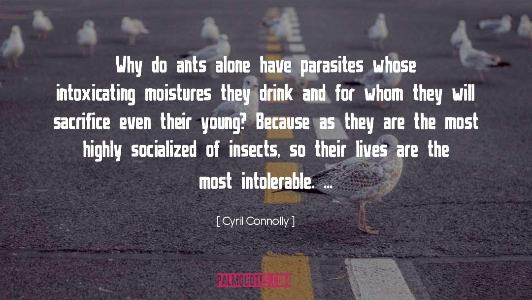 Cyril Connolly Quotes: Why do ants alone have