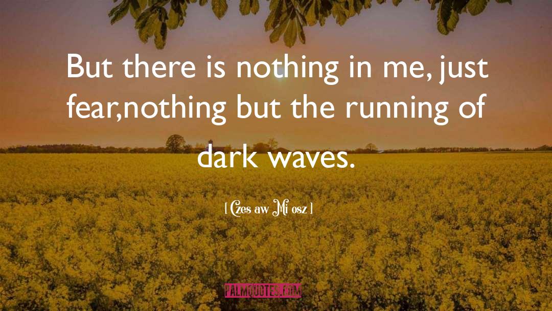 Czesław Miłosz Quotes: But there is nothing in