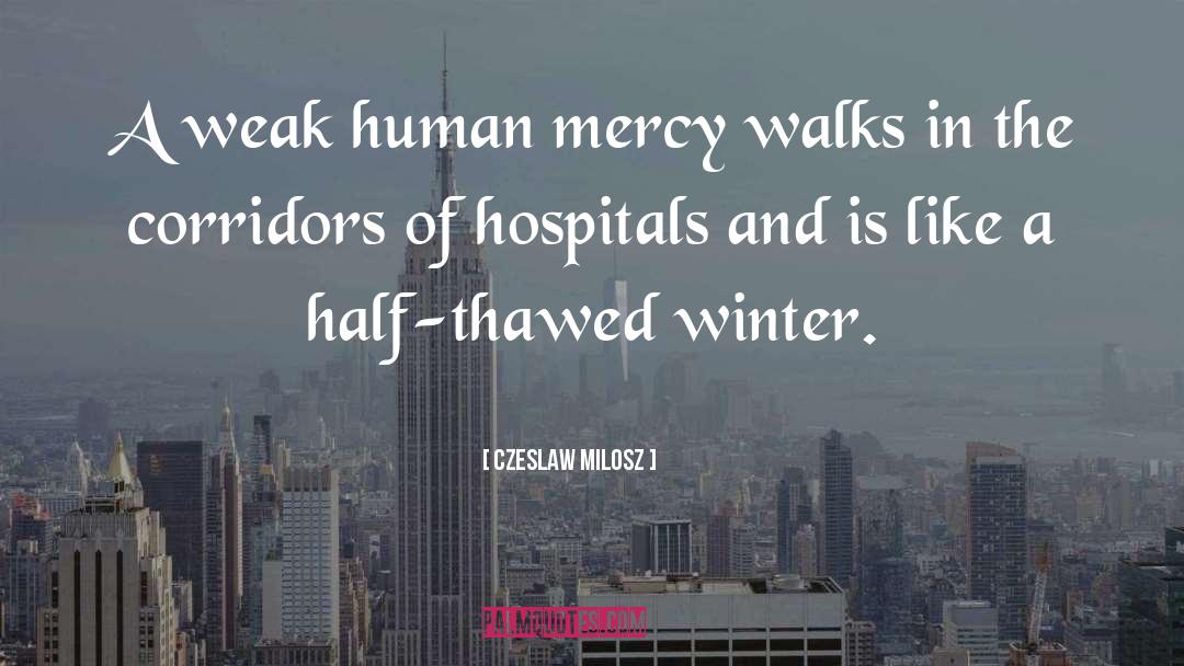 Czeslaw Milosz Quotes: A weak human mercy walks