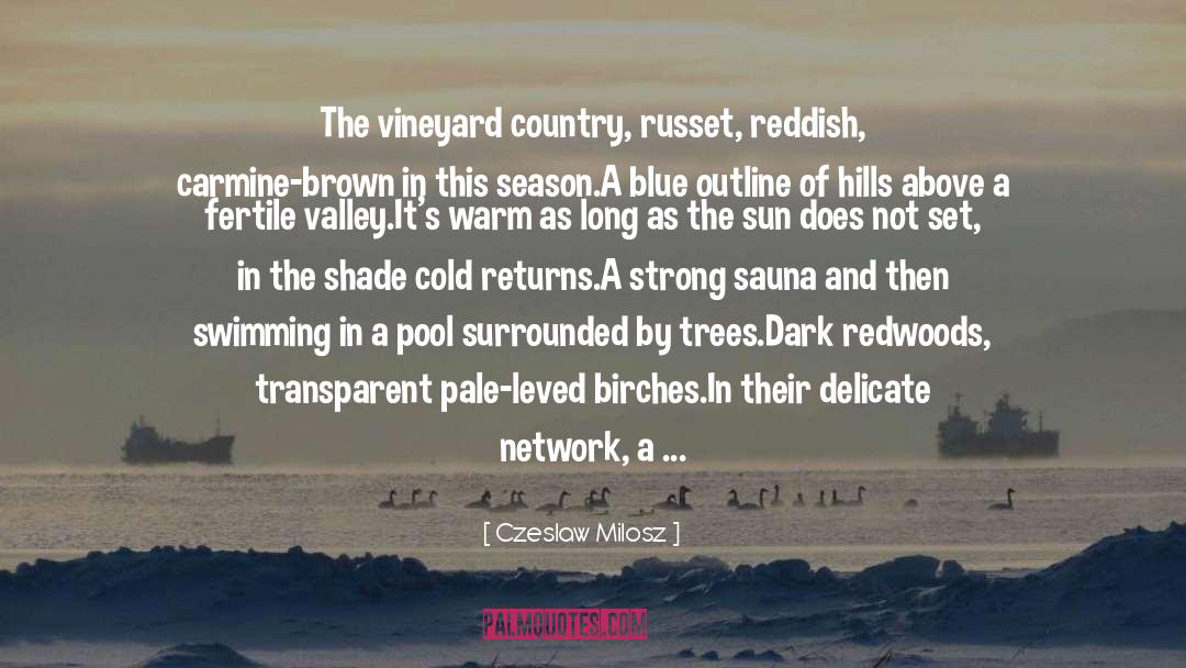 Czeslaw Milosz Quotes: The vineyard country, russet, reddish,