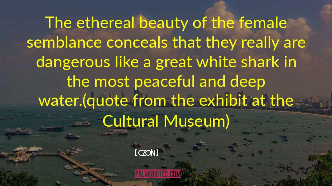 Czon Quotes: The ethereal beauty of the