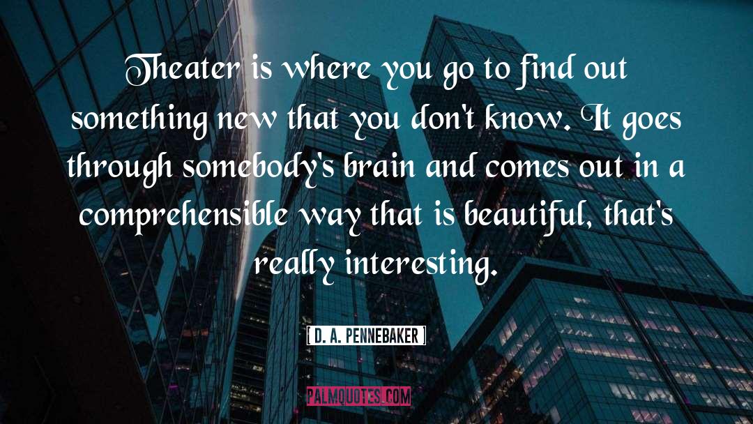 D. A. Pennebaker Quotes: Theater is where you go