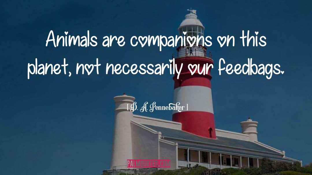 D. A. Pennebaker Quotes: Animals are companions on this