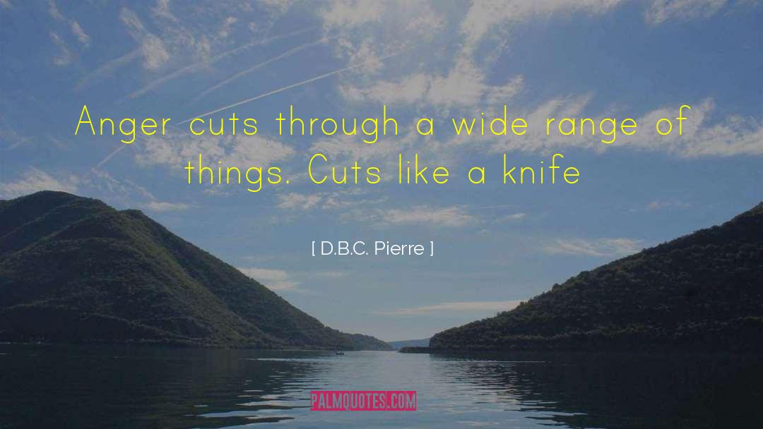D.B.C. Pierre Quotes: Anger cuts through a wide