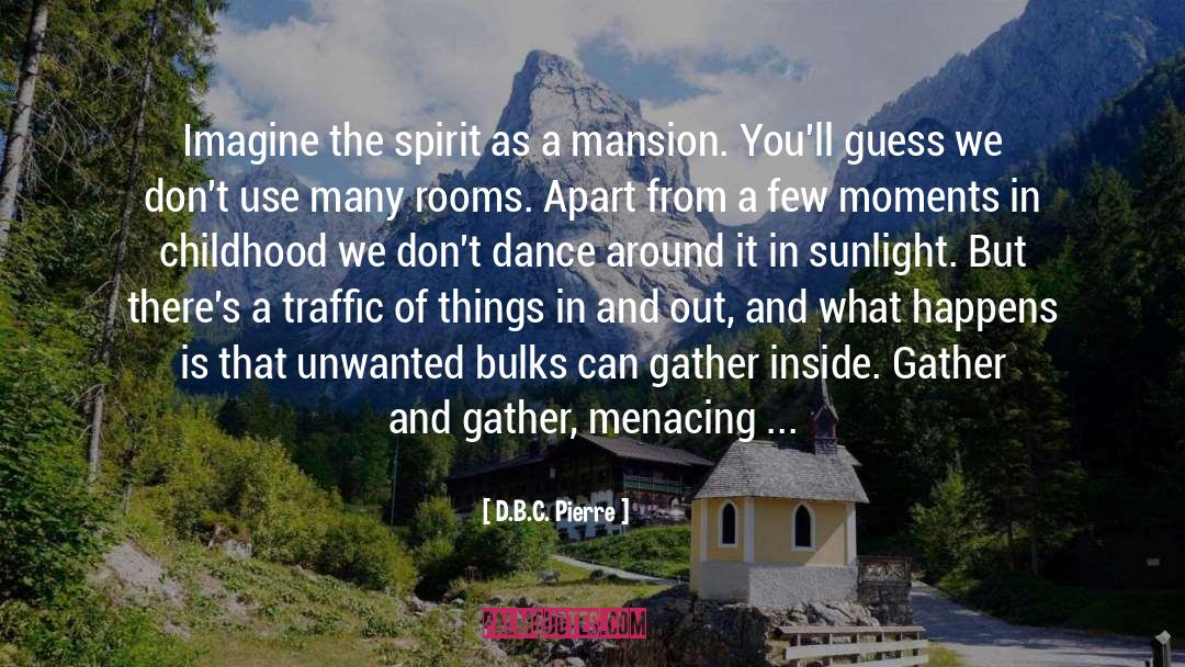 D.B.C. Pierre Quotes: Imagine the spirit as a