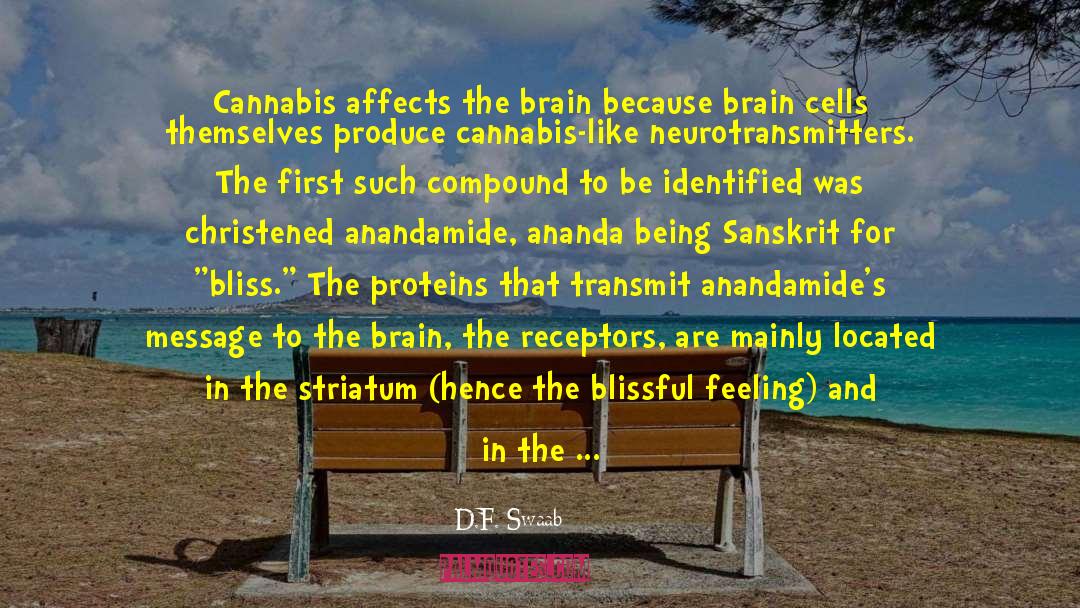 D.F. Swaab Quotes: Cannabis affects the brain because