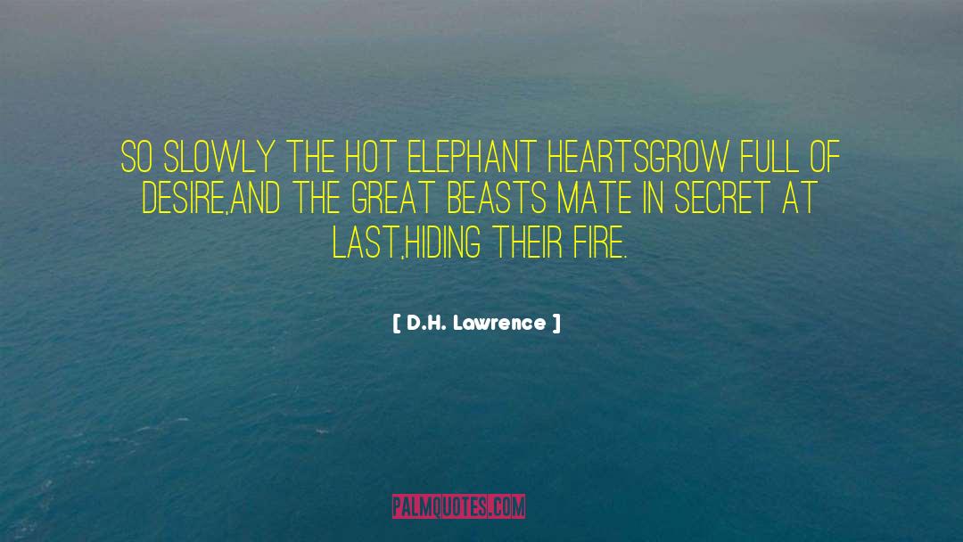 D.H. Lawrence Quotes: So slowly the hot elephant