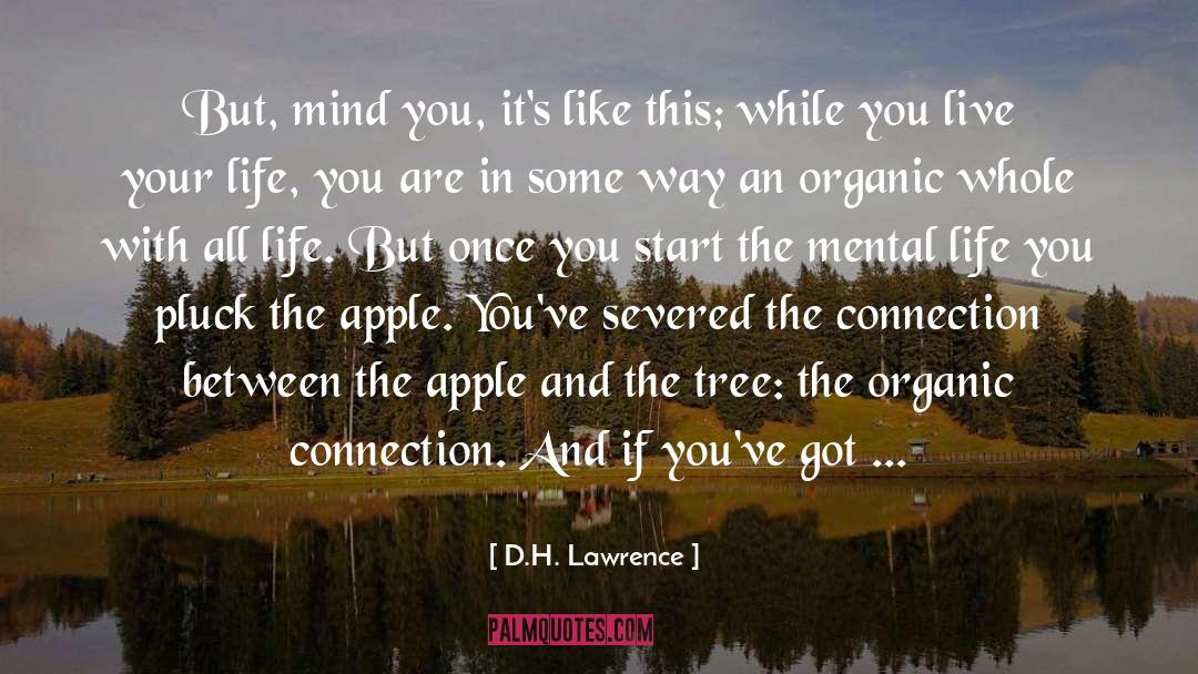 D.H. Lawrence Quotes: But, mind you, it's like