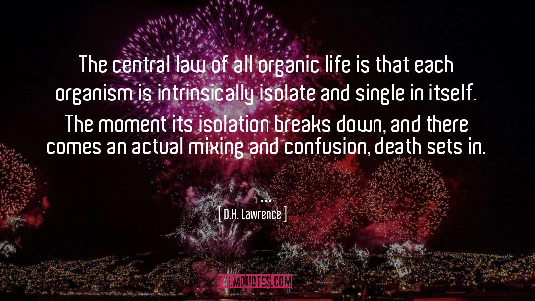 D.H. Lawrence Quotes: The central law of all
