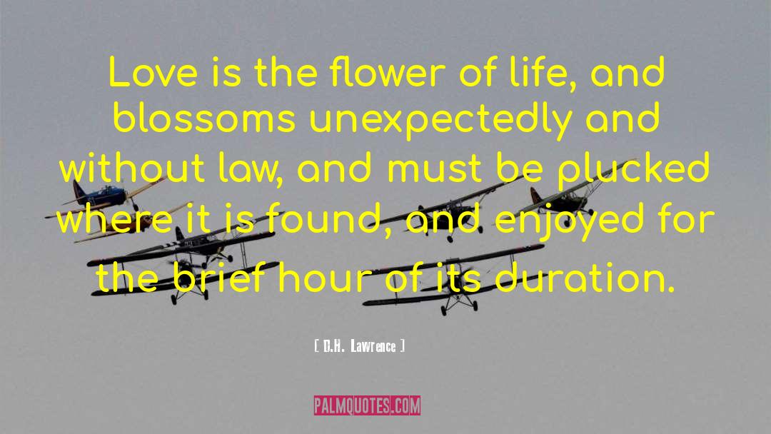 D.H. Lawrence Quotes: Love is the flower of