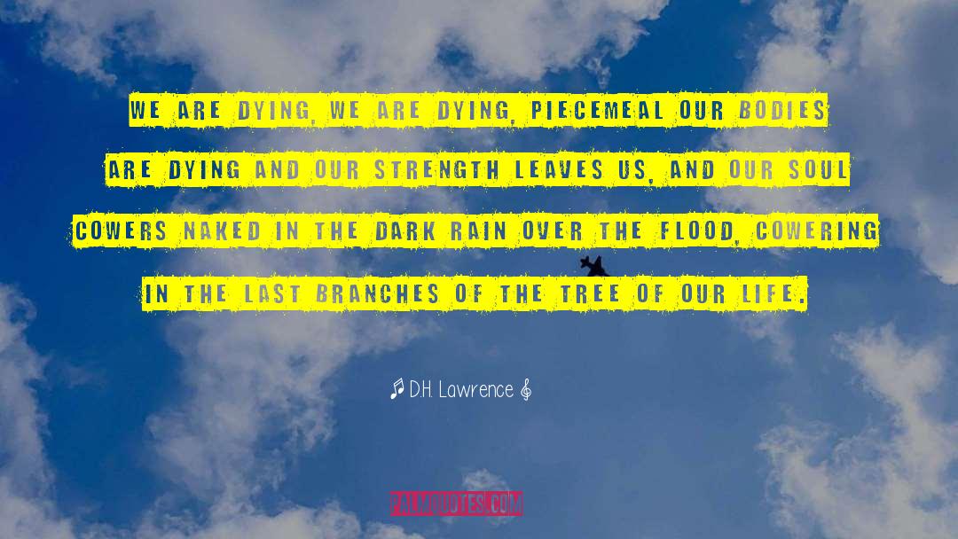 D.H. Lawrence Quotes: We are dying, we are