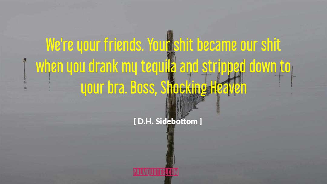 D.H. Sidebottom Quotes: We're your friends. Your shit