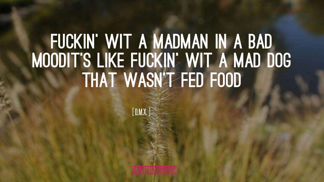 D.M.X. Quotes: Fuckin' wit a madman in