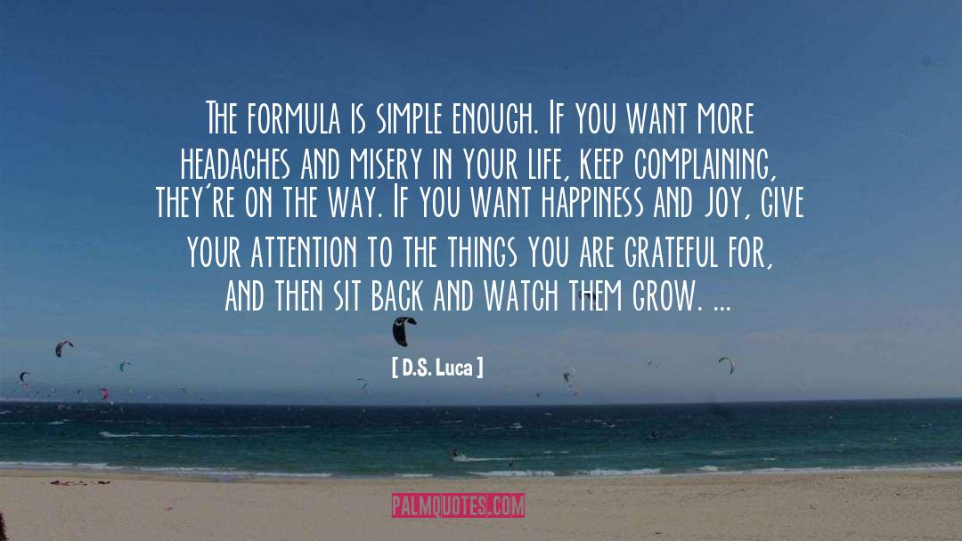 D.S. Luca Quotes: The formula is simple enough.
